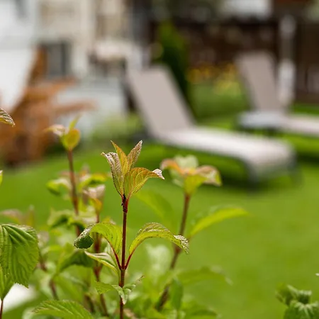 Edelweiss Отель 4*